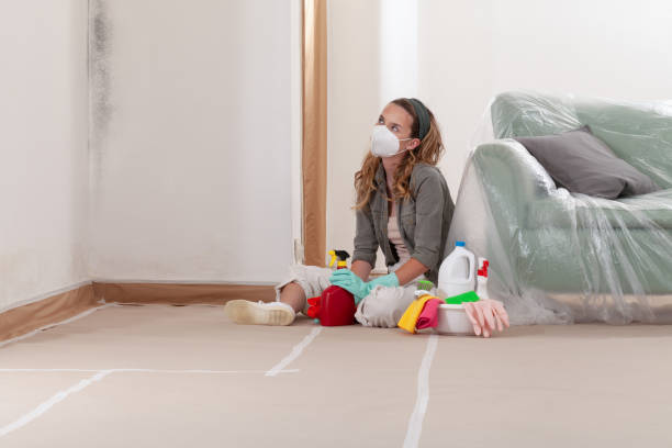 Reliable Mold Cleanup contractor in Coral Springs, FL by Cheap Mold Removal
